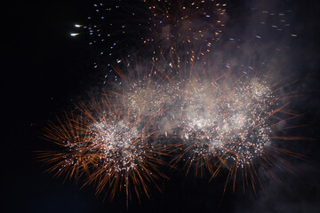 Happy New Year Fireworks in Thailand
