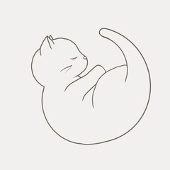 Sleeping curled up kitten. Contour, minimalism