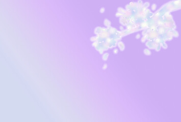 桜　枝　光　シルエット　背景　紫　グラデーション　和風　春　イメージ