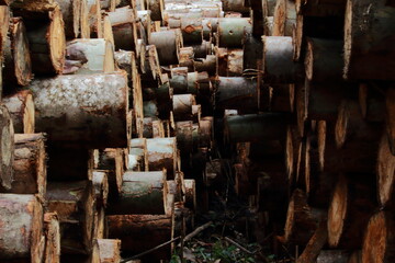 piles of lumber arranged on the floor