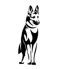 standing german shepherd or belgian malinois dog black and white vector outline portrait