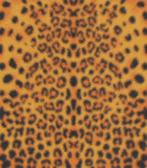 Leopard skin digital art