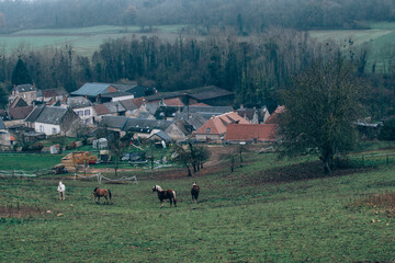 Cerseuil