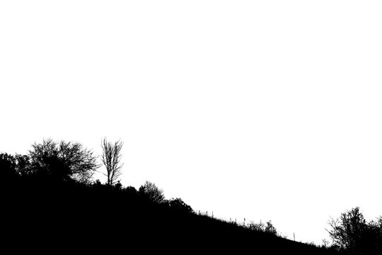 Ombre de paysage