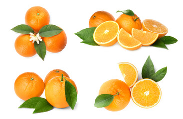 Set with tasty ripe oranges on white background