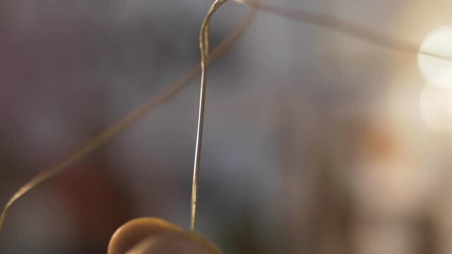 Detail of needle and thread