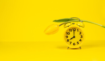 yellow tulip and yellow alarm clock on a yellow background. Spring morning. Copy space. Space for text