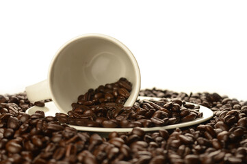 Abundant Coffee Beans