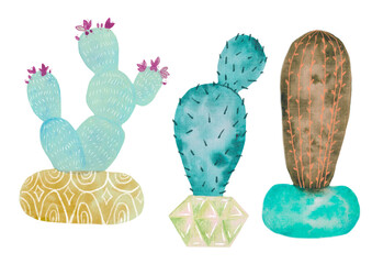 Turquoise 3 cactus set, watercolor clipart details, home plants hobby