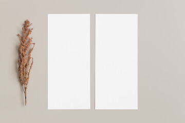 Two menu cards mockup with a dried flower deocoration, 4x9 ratio.