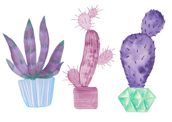 3 cute lilac cactus and succulents set, clipart illustration set