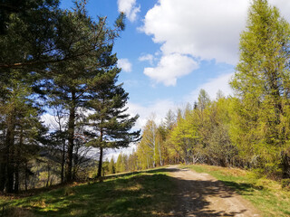 Landscape of Beskidy mountains in Poland taken in sunny spring. Mountain panorama captured during trekking.