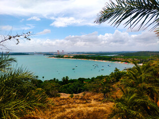 beach with palm trees
