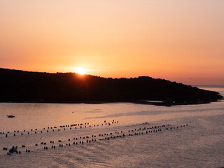 coast of olbia in sardinia at dawn