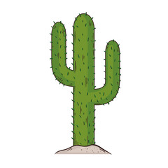cactus dry plant exotic icon
