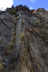 looking up a rock wall 