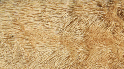 Close up brown artificial fur texture , Mat Brown wool