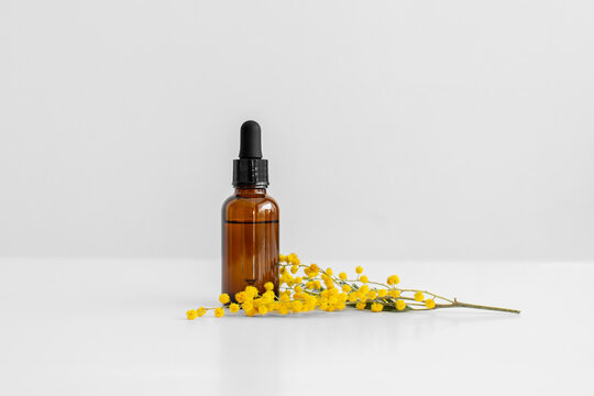 Serum, oil, acid, lotion in brown dropper glass bottle and yellow mimosa flower, beige background. Zero waste eco glass container. Spa product. Organic, bio, natural cosmetic. Beauty, skincare.