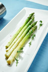 Delicious side dish for main courses - boiled asparagus with microgreen in a white plate on a blue...