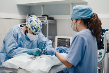 Unrecognizable male vet surgeon operating animal patient with medical tools near female assistant in uniform in hospital