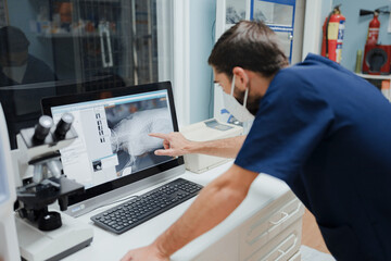 Crop anonymous veterinarian showing X ray image on computer screen while working in lab