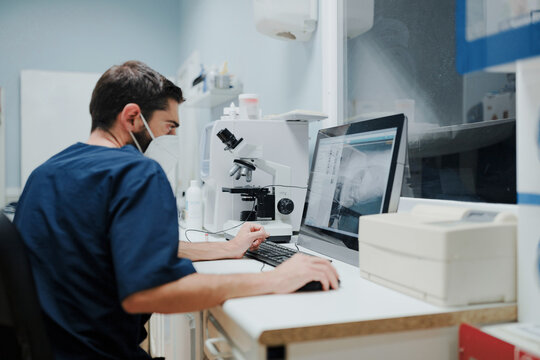 Back view of unrecognizable focused male veterinarian in uniform watching X ray illustration on desktop computer in laboratory