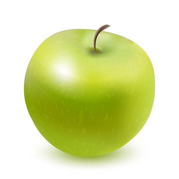 Green apple isolated on white background in a relistic style. Vector illustration.