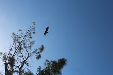 high angle blue sky