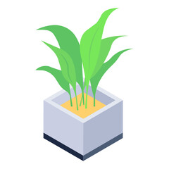 

Isometric  icon of indoor plant, home decor  


