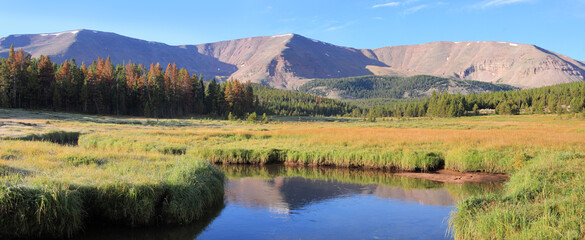 panorama meadow stream in the high Uintas wilderness area in Utah