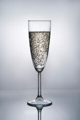 a glass of champagne, champagne bubbles