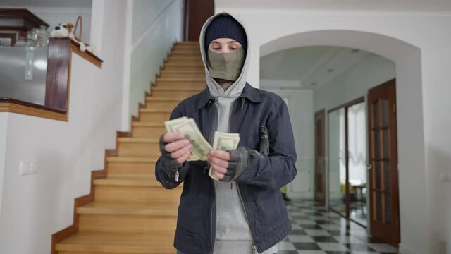 Portrait of satisfied robber putting gun at armpit and counting dollars. Middle shot of young Caucasian man stealing money in wealthy house. Breaking in and stealing crime.