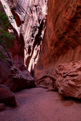 slot canyon