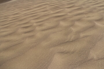 Fototapeta na wymiar Beautiful sandy waves of the Singing Dune in Altyn-Emel, waves diagonally from left to right upwards, sandy surface, summer, sunny