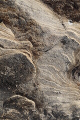 Gray Rough Rock Surface Background