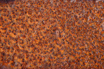 Completely Rusty Metal Plate Background