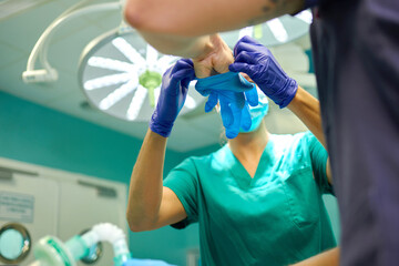 From below of unrecognizable female medical assistant helping crop male doctor to put latex gloves on hands before surgery in modern clinic