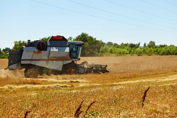 Combine harvester in action on wheat field. Process of gathering a ripe crop.