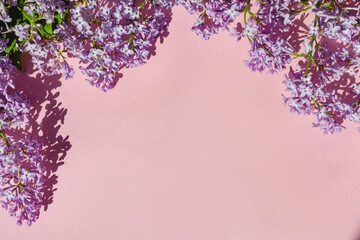 Purple and pink lilac flowers. Bouquet of lilac on pink background. With space for your text - Image