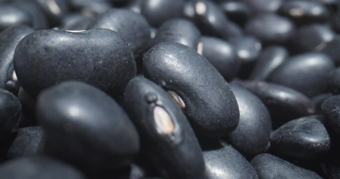 Macro probe shot of raw black beans. Shot in 4K on a cinema camera.