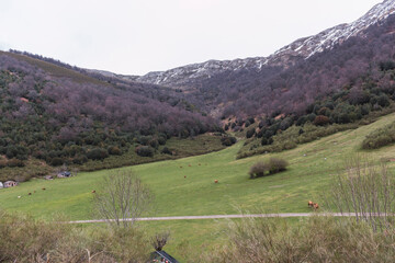 paisaje monta&ntilde;oso