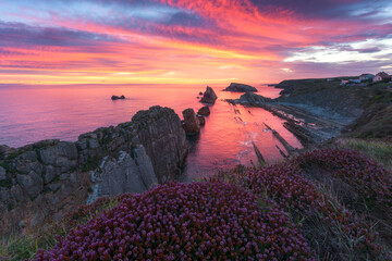 Picturesque coastal scenery of rocky shore with blooming flowers under colorful cloudy sunset sky reflected in calm sea water in summer evening in Valdovino municipality of Spain