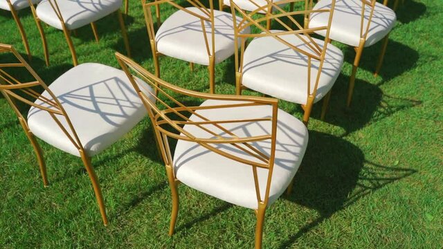 White wedding chairs on green lawn. Close up