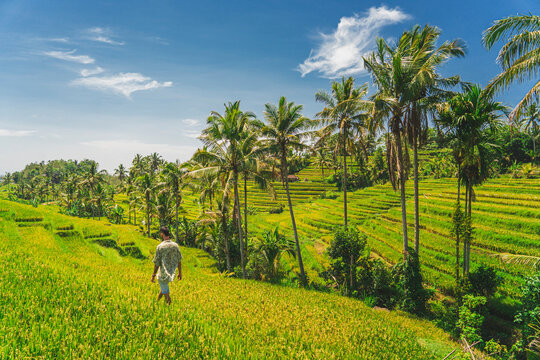 Unrecognizable farmer walking between green plantations against mountains under blue sky on summer day in Indonesia