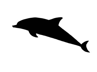 silhouette of dolphin isolated on white 