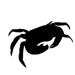 silhouette of crab isolated on white