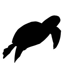 Silhouette of sea turtle on white 
