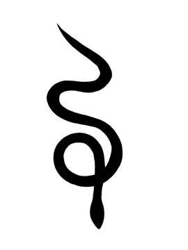 silhouette of serpent on white