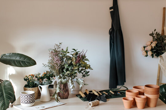Various clay pots near plants with blooming flowers and manual garden tools in house
