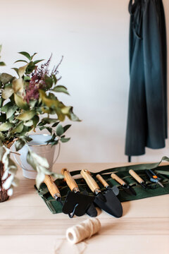 Assorted metal trowels with hoe and gardening fork near vase with plant at home